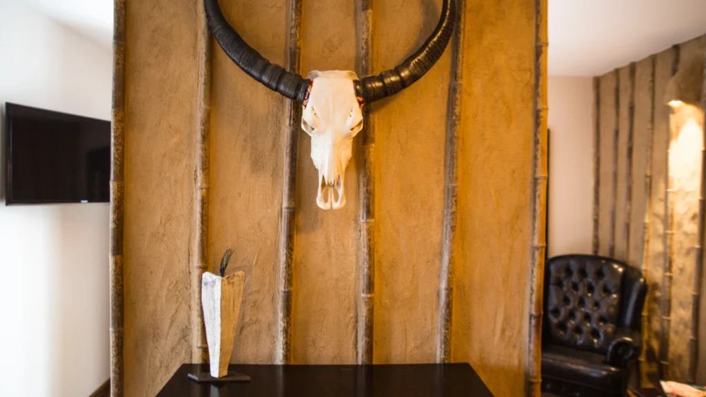 222_out_of_africa_suite_3