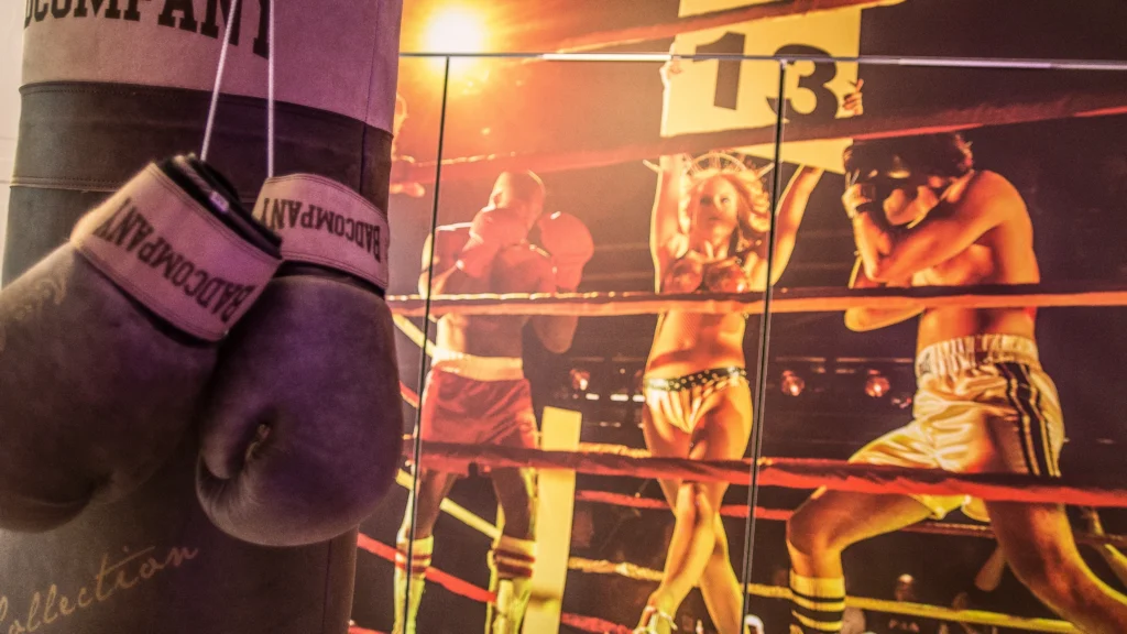 Boxring_3