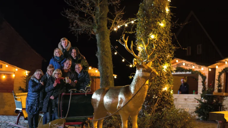 Weihnachtsmarkt_Reh_Montage_zugeschnitten