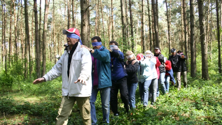 forestchallenge_4